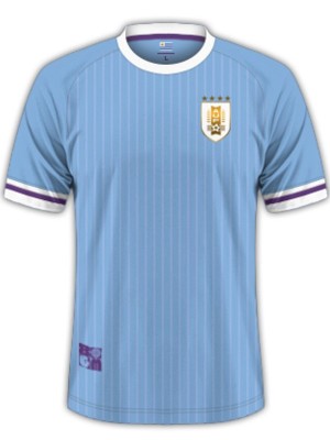 Uruguay home jersey soccer uniform men's first sportswear football kit top shirt 2024 Copa America